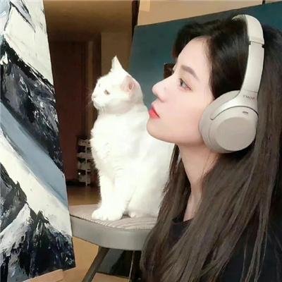 追鹰日记